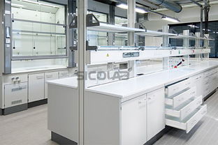 解剖實驗室建設與SICOLAB解剖實驗室效果圖網站建設