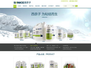 營銷型網站建設 一站式解決方案助您決勝數字時代